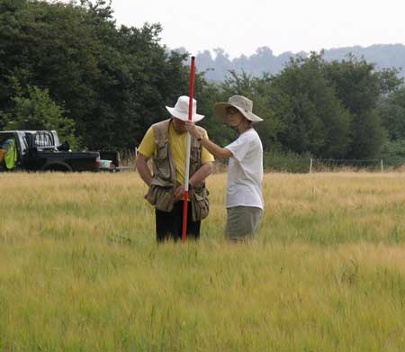Archaeological surveying