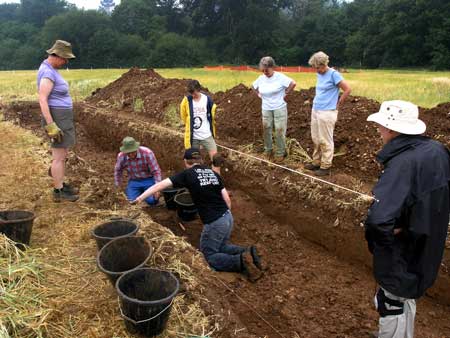Archaeological trench